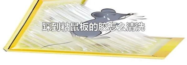 踩到粘鼠板的胶怎么清洗