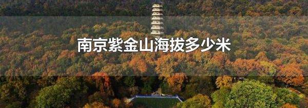 南京紫金山海拔多少米