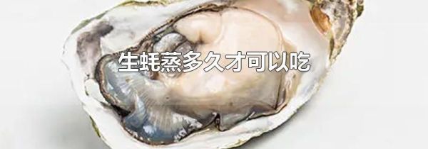 生蚝蒸多久才可以吃