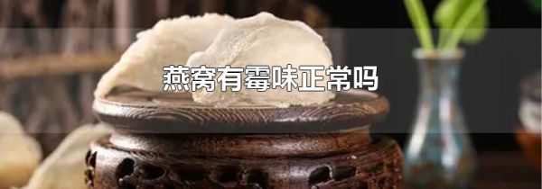 燕窝有霉味正常吗