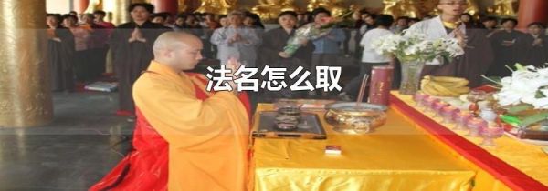 法名怎么取
