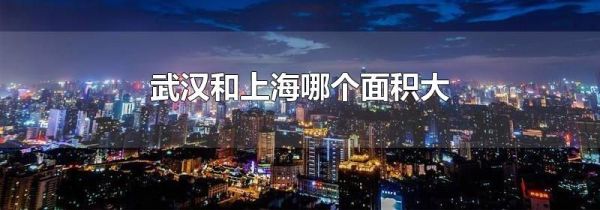 武汉和上海哪个面积大