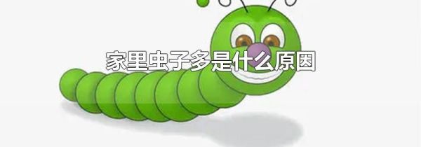 家里虫子多是什么原因
