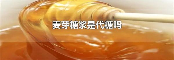 麦芽糖浆是代糖吗