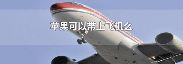 苹果可以带上飞机么