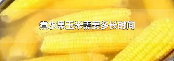 煮水果玉米需要多长时间