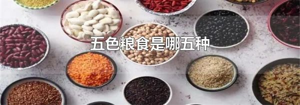 五色粮食是哪五种