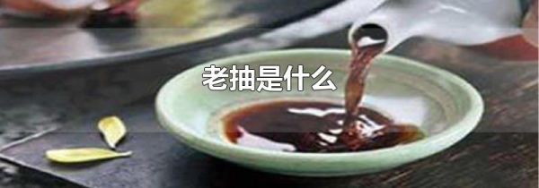 老抽是什么