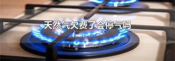 天然气欠费了会停气吗