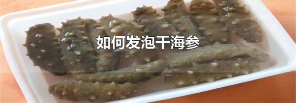 如何发泡干海参
