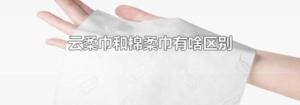 云柔巾和棉柔巾有啥区别