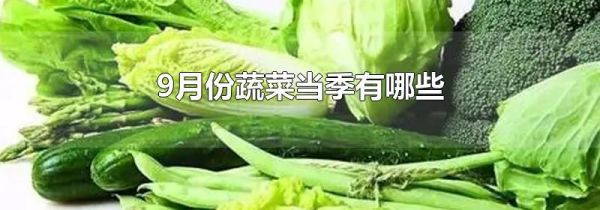 9月份蔬菜当季有哪些