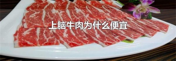 上脑牛肉为什么便宜