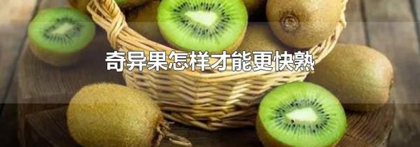 奇异果怎样才能更快熟