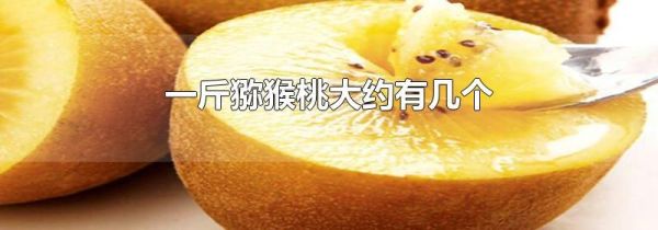 一斤猕猴桃大约有几个