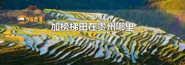 加榜梯田在贵州哪里