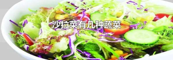 沙拉菜有几种蔬菜
