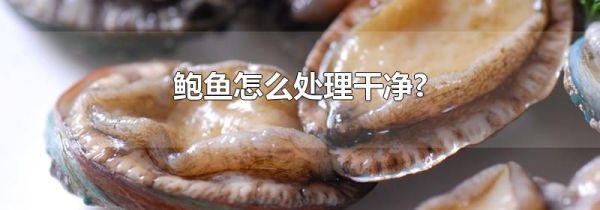 鲍鱼怎么处理干净?