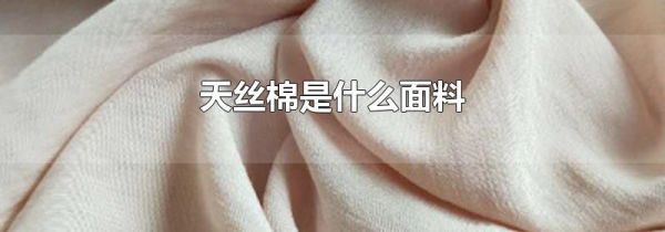 天丝棉是什么面料