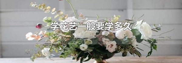 学花艺一般要学多久