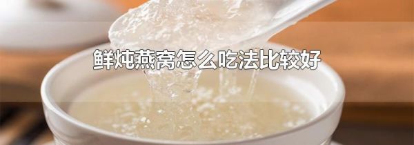 鲜炖燕窝怎么吃法比较好