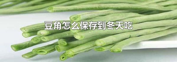 豆角怎么保存到冬天吃