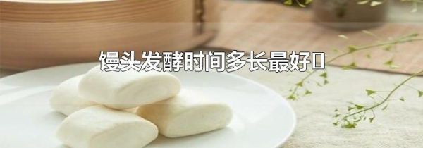 馒头发酵时间多长最好