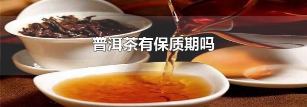 普洱茶有保质期吗
