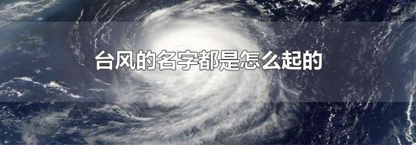 台风的名字都是怎么起的