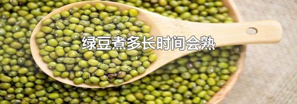 绿豆煮多长时间会熟