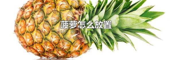 菠萝怎么放置