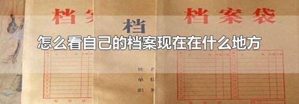 怎么看自己的档案现在在什么地方