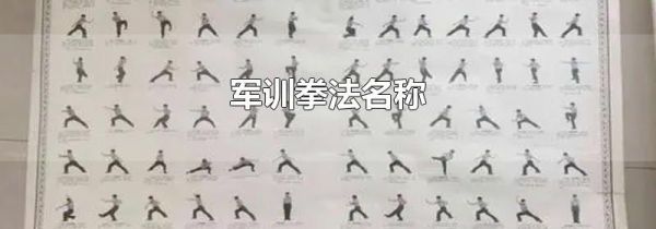 军训拳法名称