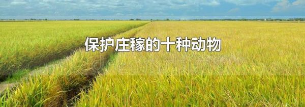 保护庄稼的十种动物