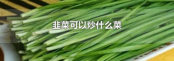 韭菜可以炒什么菜