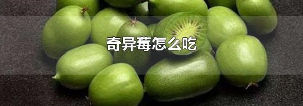奇异莓怎么吃