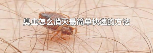 臭虫怎么消灭最简单快速的方法
