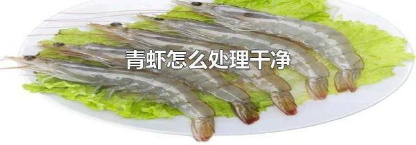青虾怎么处理干净