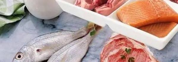 动物蛋白有哪些食物