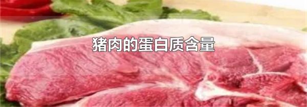 猪肉的蛋白质含量