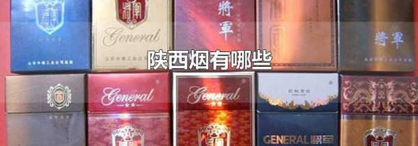 陕西烟有哪些