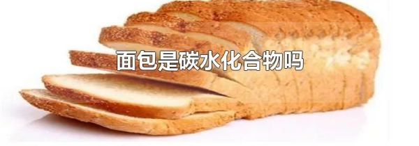 面包是碳水化合物吗