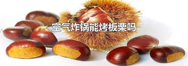 空气炸锅能烤板栗吗