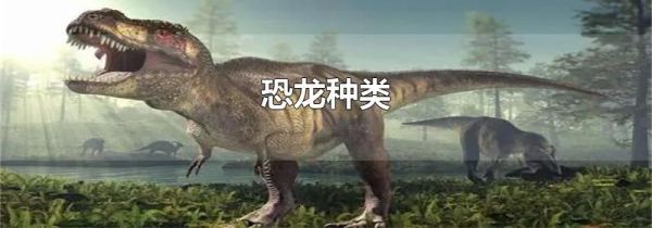 恐龙种类