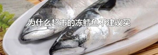 为什么超市的冻鳕鱼不建议买