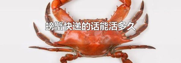 螃蟹快递的话能活多久