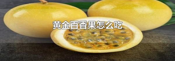 黄金百香果怎么吃