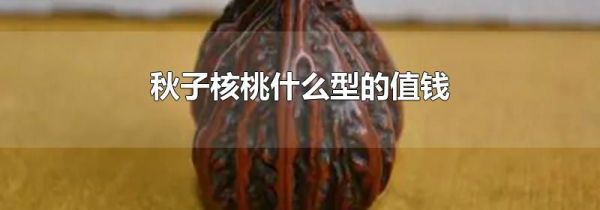 秋子核桃什么型的值钱