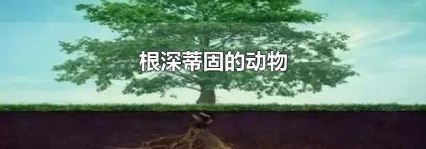 根深蒂固的动物
