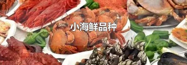小海鲜品种